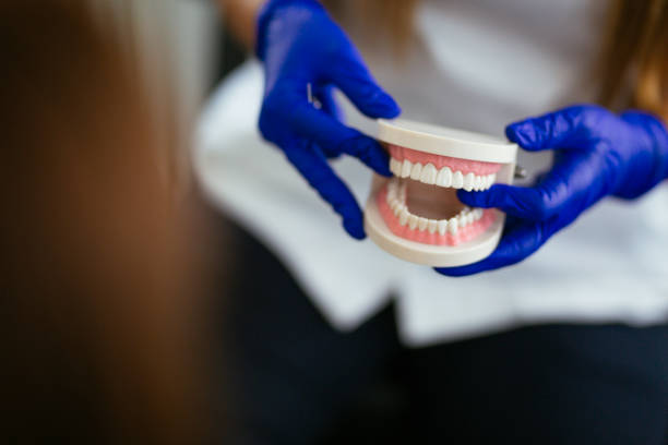 Best Dental Exams and Cleanings  in Odessa, FL